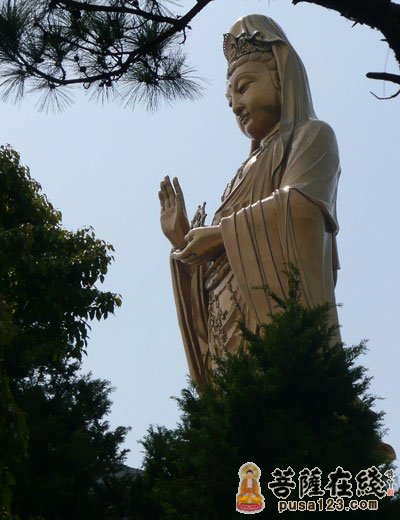 佛教-普陀山佛教协会被评为舟山市2011年度消防工作先进单位