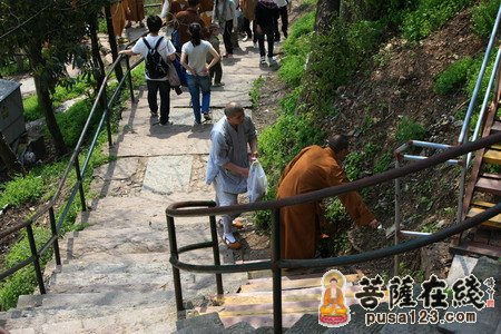 灵隐寺-杭州灵隐寺30余法师为游客展示生活即禅的“拾垃圾之旅”