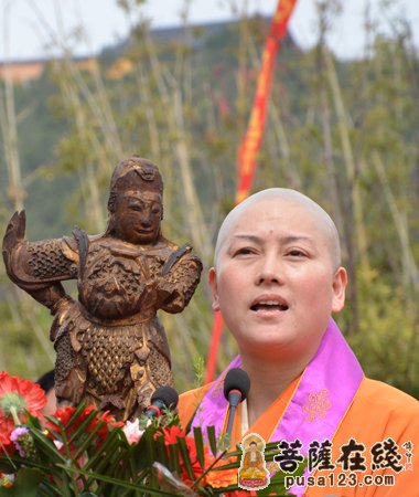 江苏徐州竹林寺举行文化节开幕式庆典暨明道法师荣膺住持升座仪式(2)