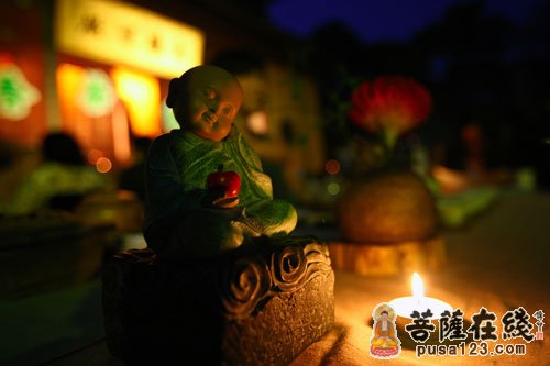 灵隐寺-杭州灵隐寺举行2012云林茶会(春) 花语茶香为主题