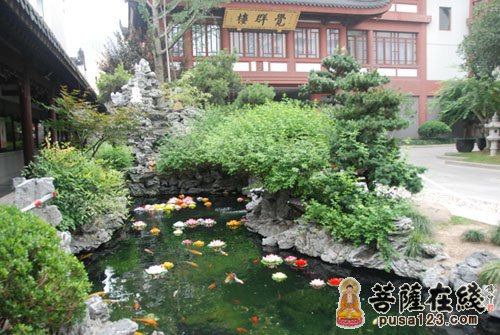 慈善-上海玉佛禅寺于“觉群慈善周”期间为阳光之家儿童举办义卖活动
