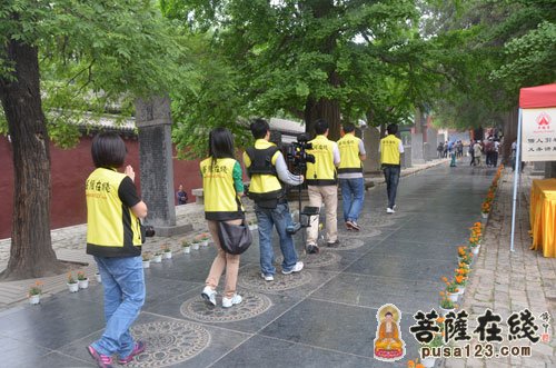 佛教-大菩文化参访团一行参学天下第一名刹 - 中国嵩山少林寺