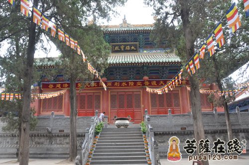 佛教-大菩文化参访团一行参学天下第一名刹 - 中国嵩山少林寺