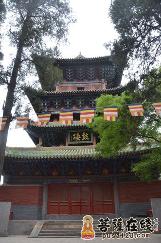 佛教-大菩文化参访团一行参学天下第一名刹 - 中国嵩山少林寺