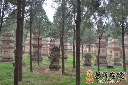 佛教-大菩文化参访团一行参学天下第一名刹 - 中国嵩山少林寺