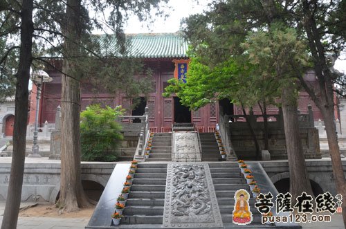 佛教-大菩文化参访团一行参学天下第一名刹 - 中国嵩山少林寺