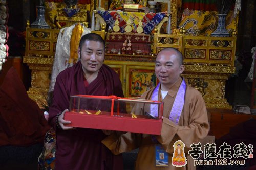 摄影-上海玉佛禅寺“慈爱·吉祥之旅”一行参拜甘丹寺、布达拉宫、大昭寺