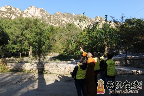 文化-大菩文化参访团一行参学北京龙泉寺