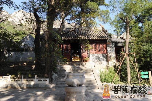 文化-大菩文化参访团一行参学北京龙泉寺