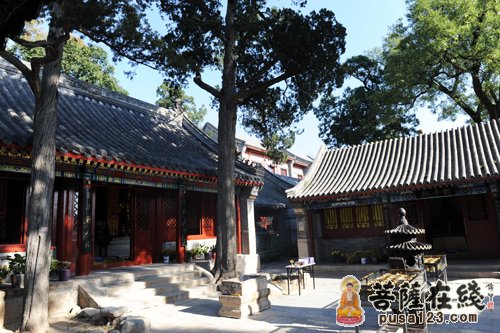 文化-大菩文化参访团一行参学北京龙泉寺