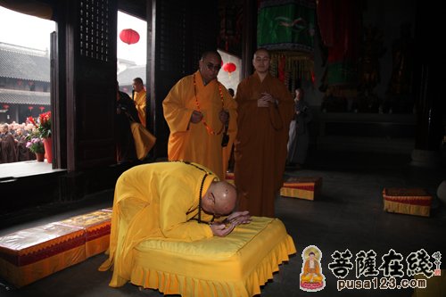 大和尚礼佛(图片来源:菩萨在线)