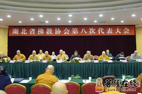 湖北省佛教协会第八次代表大会闭幕 正慈法师当选会长