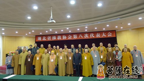 湖北省佛教协会第八次代表大会闭幕 正慈法师当选会长