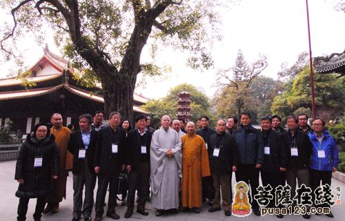 韩国佛教宗团协议会会长慈乘长老一行参访广州光孝寺