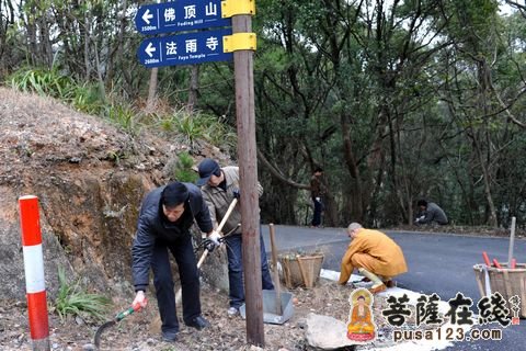 普陀山-浙江普陀山佛协组织开展冬春森林消防安全清理活动