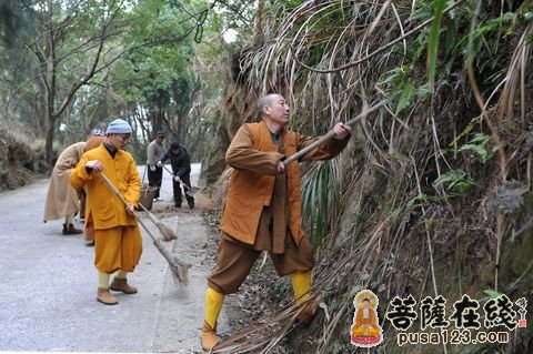 普陀山-浙江普陀山佛协组织开展冬春森林消防安全清理活动