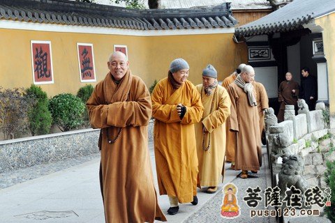 普陀山佛协会长道慈大和尚一行前往普陀山各寺庵慰问