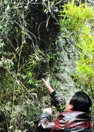 安徽白石山“仙人洞”发现摩崖石刻 推测作者是僧人