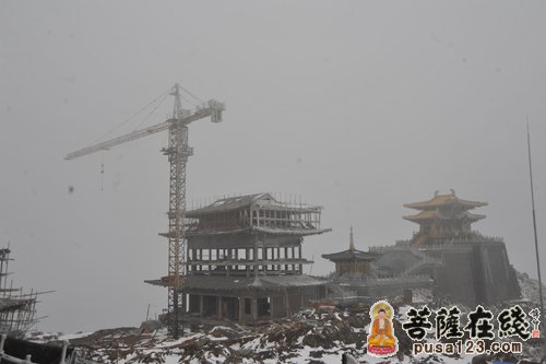 慈恩寺-湖北“大洪山慈恩寺前期方案设计交流会”在深圳举行