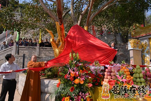 深圳南山观音寺隆重举行寺院落成暨开光法会