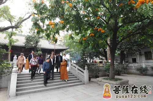 光孝寺-浙江省民宗委陈振华一行视察广州光孝寺