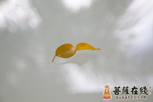 人生的什么和什么