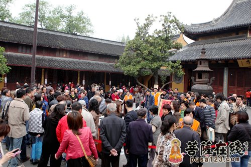 上海龙华古寺方丈照诚大和尚为雅安人民书法赈灾