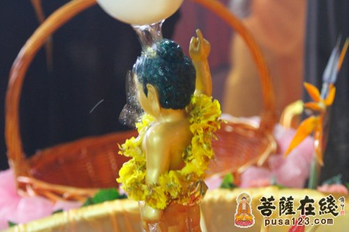 佛教-浴佛法会上小沙弥得剃度
