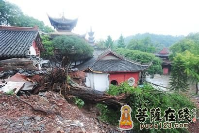 四川暴雨-水漫金刚殿 鱼儿游进广德寺