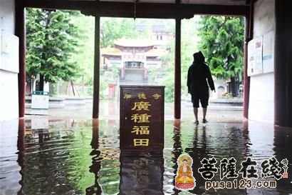 四川暴雨-水漫金刚殿 鱼儿游进广德寺