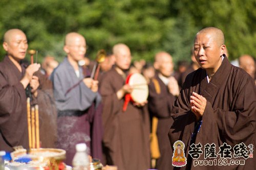 文化-佛性长老化身窑开启 首日分拣近两百颗舍利