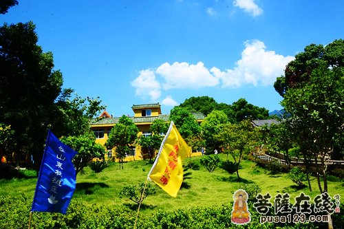 东林寺-青年学子参礼东林寺净土祖庭  大安大和尚为皈依弟子授戒