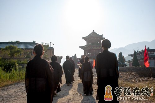 东林寺-青年学子参礼东林寺净土祖庭  大安大和尚为皈依弟子授戒