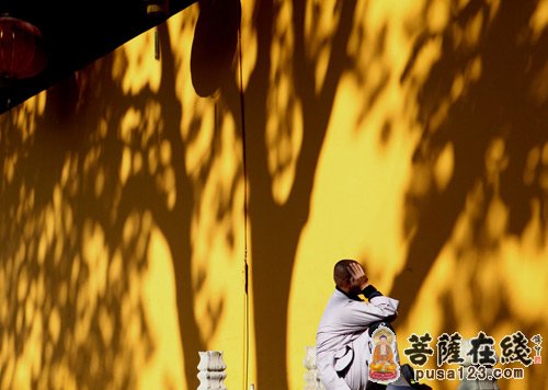 佛教-浅论人间佛教思想与儒家思想的关系