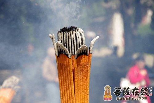 佛教-中国佛教协会：倡导文明敬香 建设生态寺院