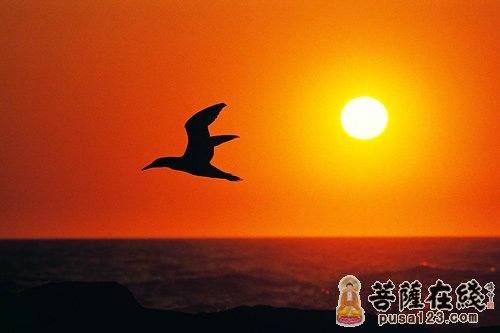 六道:一,天道,二,阿修罗道,三,人道,四,畜生道,五,饿鬼道,六