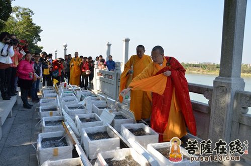 四会-广东四会六祖寺开展迎春祈福百亿生命大放生活动