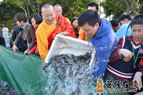 四会-广东四会六祖寺开展迎春祈福百亿生命大放生活动