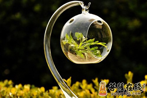 佛教禅意莲花分享_佛教禅意莲花图片下载