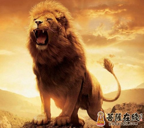 佛教"狮子吼"怎么演变成"河东狮吼"了?