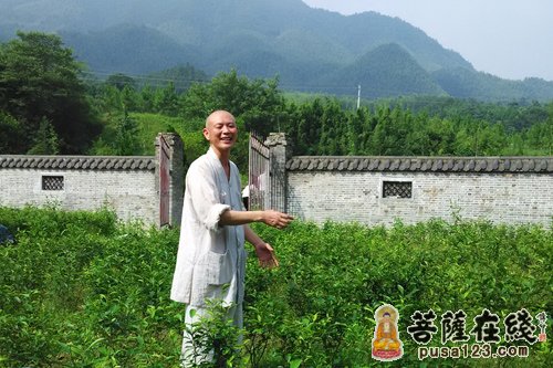 出坡时妙安大和尚为大家开示