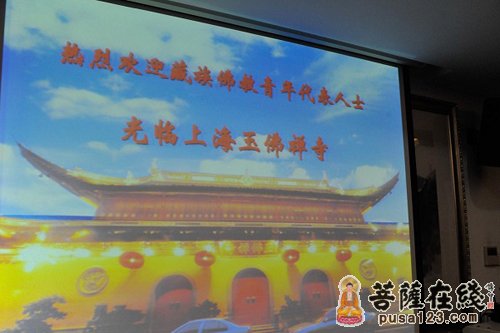 佛教-藏传佛教青年代表人士莅临玉佛禅寺参观考察