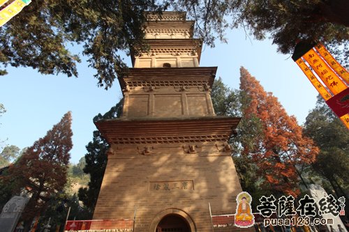 唐玄奘塔（图片来源：菩萨在线 摄影：妙音）