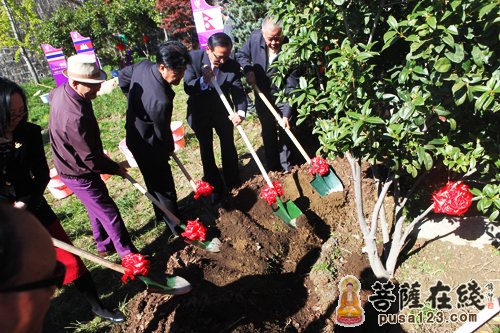 为“亚洲和平万众共命林”植树（图片来源：菩萨在线 摄影：妙音）
