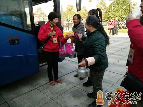 送姜茶