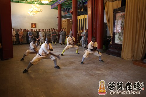 永信方丈与郑甲润副议长一行观看少林功夫展演