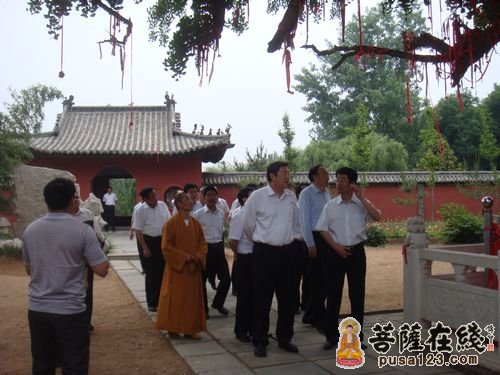 张建国-山东省副省长张建国一行到泗水县安山寺视察调研