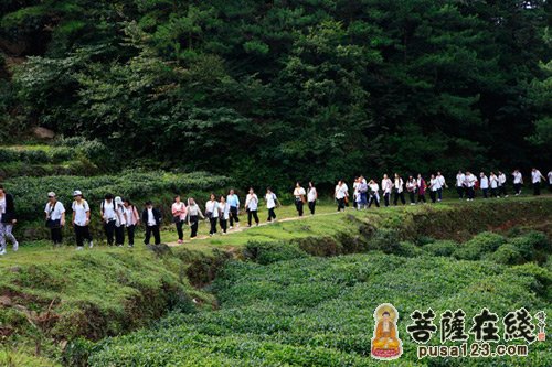 文化-黄梅四祖寺夏令营营员心声：七天能改变一生吗？