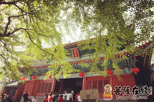 嵩山少林寺（资料图）
