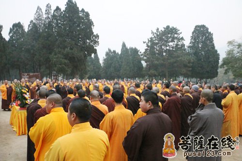 少林寺-嵩山少林寺僧众“寒衣节”扫塔祭祖 缅怀祖师大德